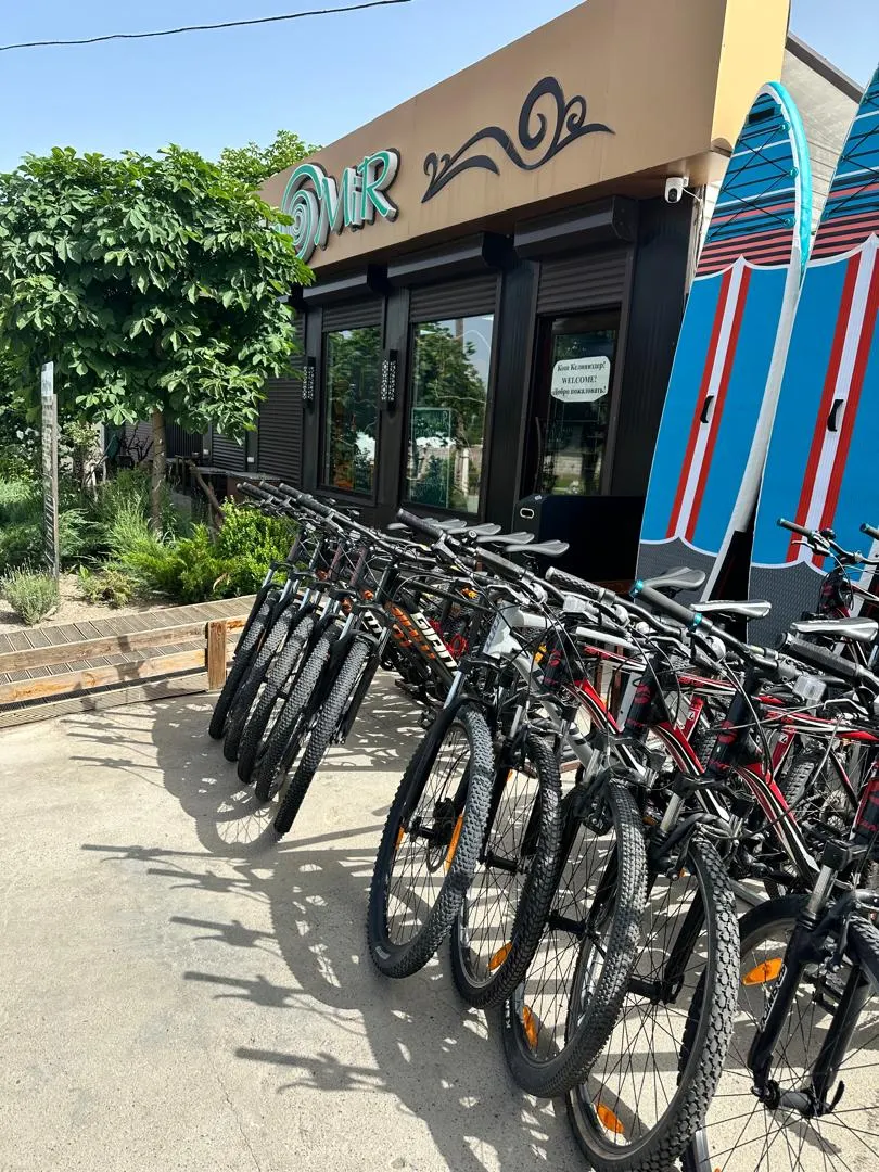 A row of mountain bikes outside EthnoMir Point